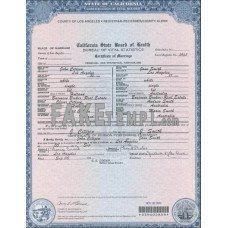 USA California fake marriage certificate photoshop template PSD 