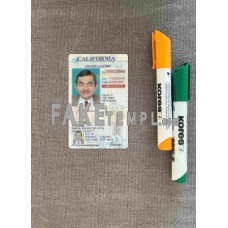 USA California  fake driving license photolook template PSD, scan and photo-realistic look, under 21