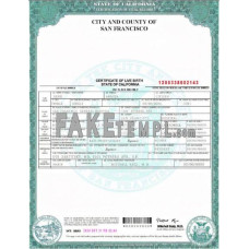 USA fake California State Document Authentication certificate Word and PDF template