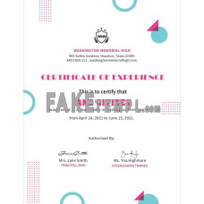 USA fake Cheerleader Certificate template in Word and PDF format