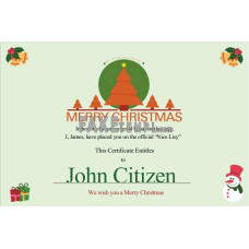 USA fake Christmas Gift certificate template in Word and PDF format