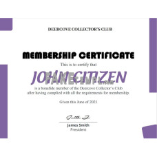 USA fake Club Membership certificate template in Word and PDF format