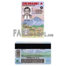 USA Colorado fake identity card photoshop template PSD