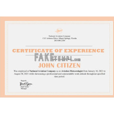 USA fake Company Experience Certificate template in Word and PDF format