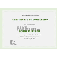 USA fake Computer Training certificate template in Word and PDF format