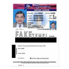 USA Connecticut fake driving license photoshop template PSD