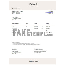 USA Delve Q fake Invoice Word and PDF template