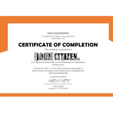 USA fake Denz Engineering Internship Certificate template in Word and PDF format