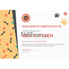 USA fake Dog Birth certificate template in Word and PDF format