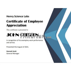 USA fake Employee fake Appreciation Certificate template in Word and PDF format, version 2