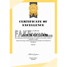 USA fake Excellence Certificate template in Word and PDF format