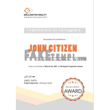 USA fake Excellence certificate template in Word and PDF format, version 2