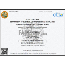 USA Florida Contractor Business fake license Word and PDF template