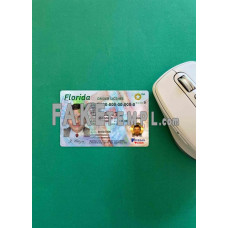 USA Florida fake driving license photolook template PSD, scan and photo-realistic look