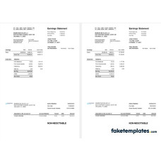 USA Florida Momentum Solar LLC fake paystub Word and PDF template