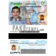 USA Florida fake driving license photoshop template PSD