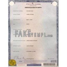 USA Florida state fake birth certificate photoshop template PSD 