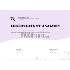 USA fake General Analysis certificate template in Word and PDF format