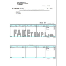 USA HI fake pay stub Word and PDF template