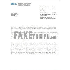 USA INTERNAL REVENUE SERVICE (IRS) Employer Identification Number (EIN) business registration fake template in Word and PDF format