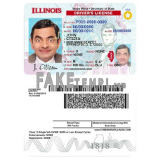 USA Illinois fake driving license photoshop template PSD