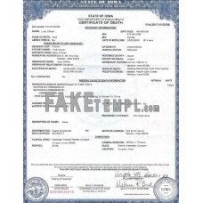 USA Iowa state fake death certificate photoshop template PSD 