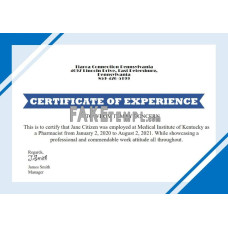 USA fake Job Experience certificate template in Word and PDF format, version 2