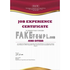 USA fake Job experience certificate template in Word and PDF format