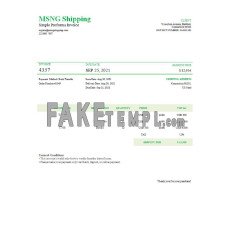 USA MSNG Shipping fake Invoice Word and PDF template