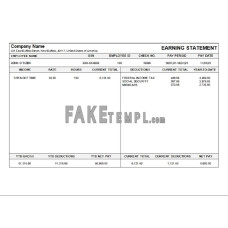 USA Michigan fake pay stub Word and PDF template