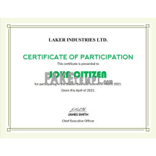 USA fake Modern Participation certificate template in Word and PDF format