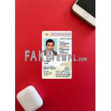 USA New Mexico fake driving license photolook template PSD, scan and photo-realistic look, under 21