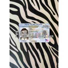 USA New York fake driving license photolook template PSD, scan and photo-realistic look