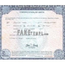 USA New York state fake birth certificate photoshop template PSD 