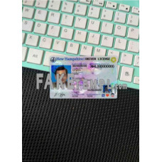 USA New hampshire fake driving license photolook template PSD, scan and photo-realistic look