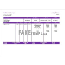 USA OR fake pay stub Excel an PDF template