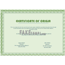 USA Origin fake Certificate template in Word and PDF format