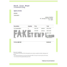 USA Pack Your Bags Consulting fake Invoice Word and PDF template