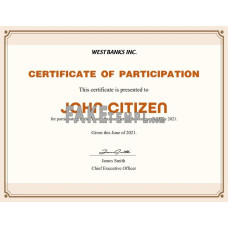 USA fake Participation certificate template in Word and PDF format, version 2