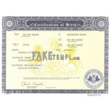 USA Pennsylvania state fake birth certificate photoshop template PSD 