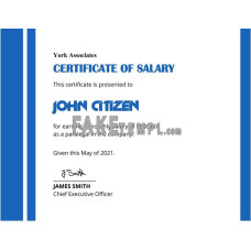 USA fake Salary certificate template in Word and PDF format