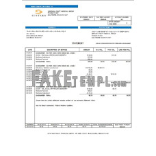 USA Sentara Pratt Medical Group fake billing statement Word and PDF template