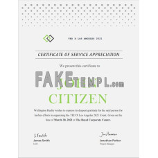 USA fake Service certificate template in Word and PDF format