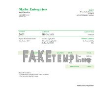 USA Skyler Enterprises fake Invoice Word and PDF template