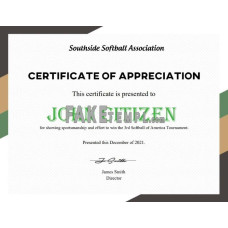 USA fake Softball certificate template in Word and PDF format