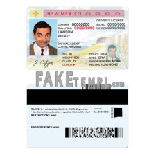 USA state New Mexico fake driving license photoshop template PSD 