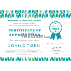 USA fake Student fake Appreciation Certificate template in Word and PDF format