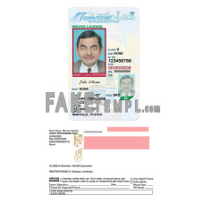 USA Tennessee state vertical fake driving license photoshop template PSD