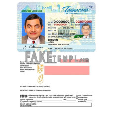 USA Tennessee fake driving license photoshop template PSD