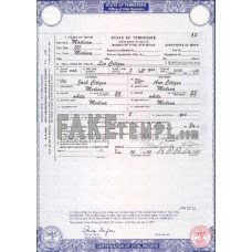 USA Tennessee state fake birth certificate photoshop template PSD 